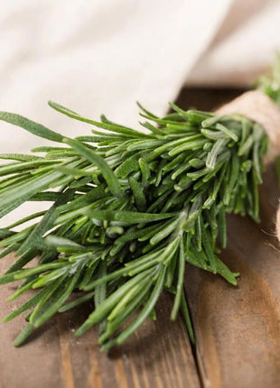 Rosemary – 50 Seeds
