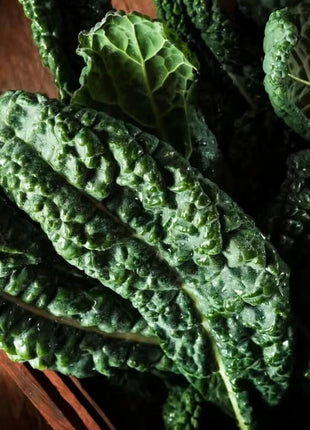 Lacinato "Dinosaur" Kale – 250 Seeds