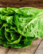 Parris Island Cos Lettuce – 500 Seeds