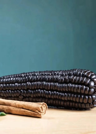 Morado Montana Maize Corn – 25 Seeds