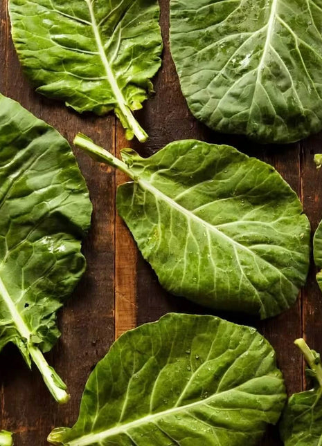 Champion Collard – 100 Seeds