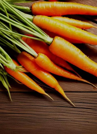 Scarlet Nantes Carrot – 250 Seeds