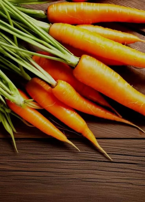 Scarlet Nantes Carrot – 250 Seeds