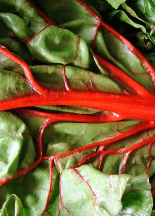 Ruby Red Swiss Chard – 100 Seeds