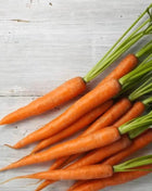 Tendersweet Carrot – 250 Seeds