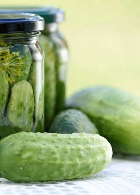 Boston Pickling Cucumber – 30 Seeds