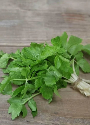 Cutting Celery – 200 Seeds