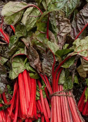 Ruby Red Swiss Chard – 100 Seeds