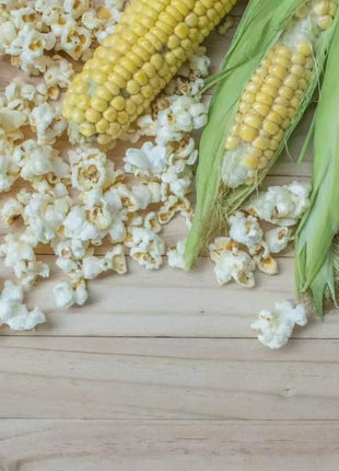 Popcorn Corn – 30 Seeds