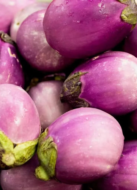 Rosa Bianca Eggplant – 50 Seeds
