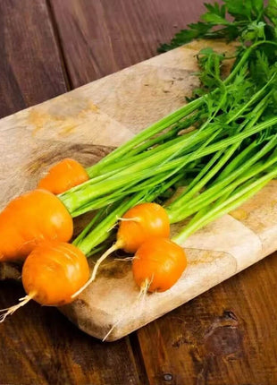 Parisian Carrot – 250 Seeds