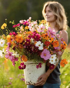 Crazy for Cosmos Seed Mix – 100 Seeds