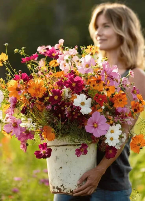 Crazy for Cosmos Seed Mix – 100 Seeds