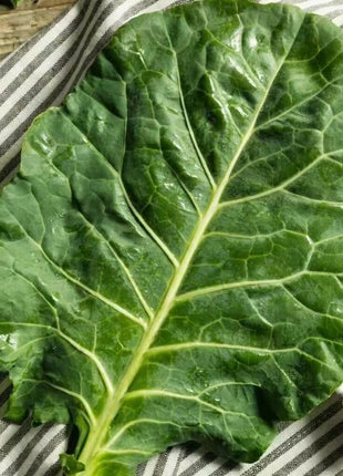 Vates Collard – 200 Seeds