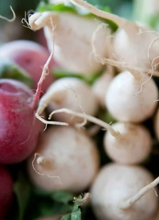 Detroit White Beet – 200 Seeds