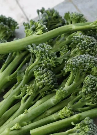 Calabrese Green Broccoli – 100 Seeds