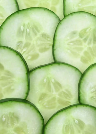 Spacemaster Cucumber – 30 Seeds