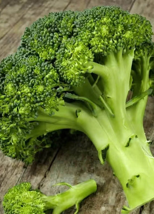 Waltham 29 Broccoli – 100 Seeds