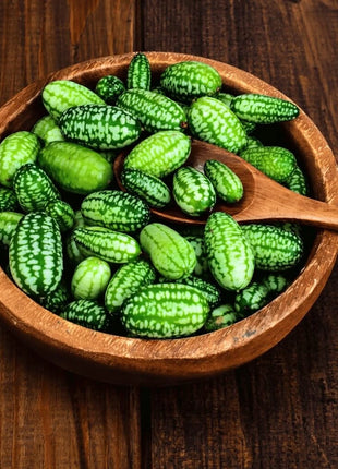 Mouse Melon – 10 Seeds