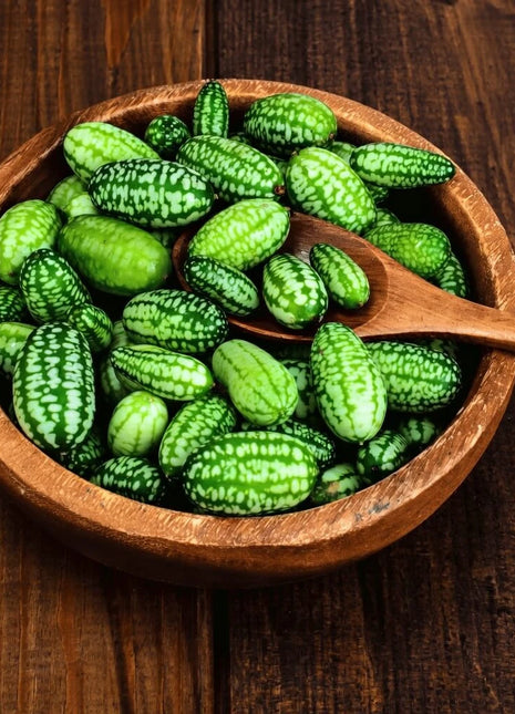 Mouse Melon – 10 Seeds