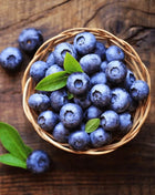 Northern Highbush Blueberry – 50 Seeds