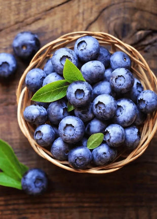 Northern Highbush Blueberry – 50 Seeds