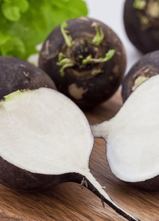 Black Spanish Radish – 250 Seeds