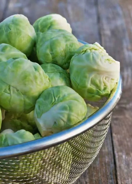 Catskill Brussels Sprouts – 250 Seeds