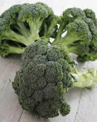 Calabrese Green Broccoli – 100 Seeds
