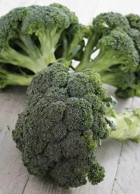 Calabrese Green Broccoli – 100 Seeds