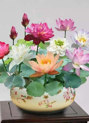 🔥 [7 days germination] Last Day Sale -49% OFF💐The Sacred Bonsai Bowl Lotus Flower