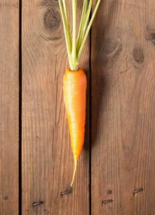 Scarlet Nantes Carrot – 250 Seeds