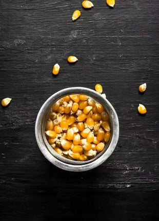 Popcorn Corn – 30 Seeds