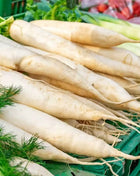 Lunar White Carrot – 250 Seeds