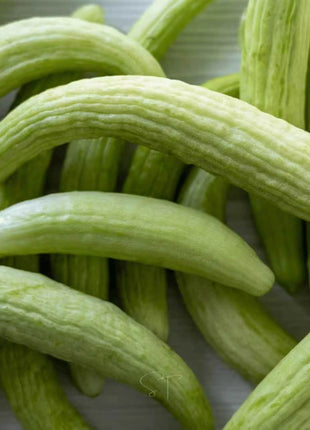 Armenian Yard-Long Cucumber – 30 Seeds