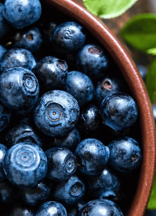 Northern Highbush Blueberry – 50 Seeds