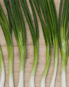 Evergreen Bunching Onion – 200 Seeds