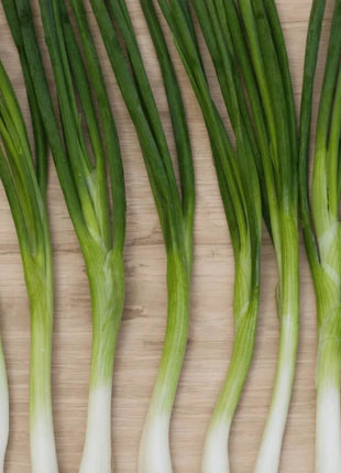 Evergreen Bunching Onion – 200 Seeds