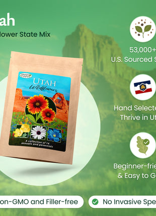 Utah Wildflower Seed Mix