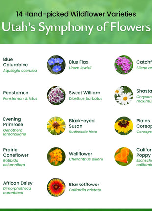 Utah Wildflower Seed Mix