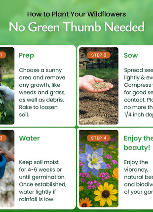 Utah Wildflower Seed Mix