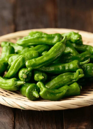 Shishito Pepper – 25 Seeds