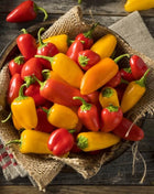 Lunchbox Sweet Pepper – 25 Seeds