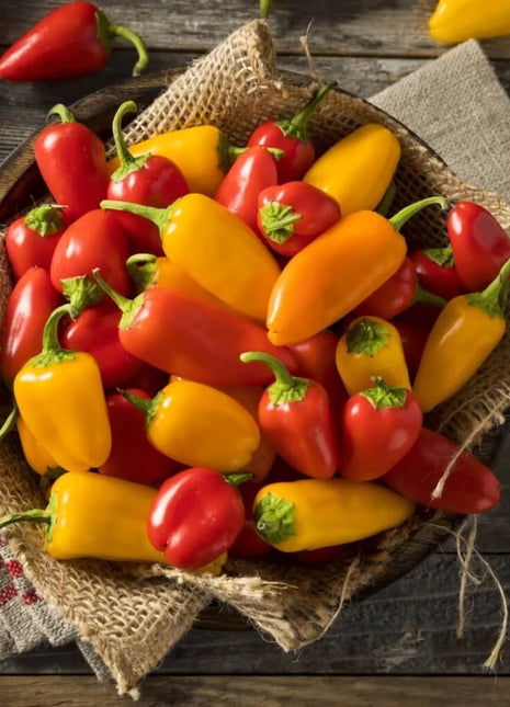 Lunchbox Sweet Pepper – 25 Seeds