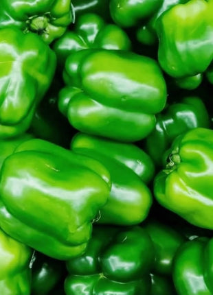 Cal Wonder Sweet Bell Pepper – 30 Seeds