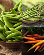Heirloom Vegetable Seed Collection – 15 Varieties