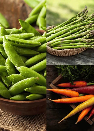 Heirloom Vegetable Seed Collection – 15 Varieties