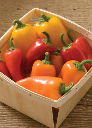 Lunchbox Sweet Pepper – 25 Seeds