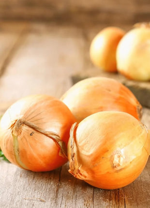 Utah Yellow Sweet Spanish Onion – 200 Seeds