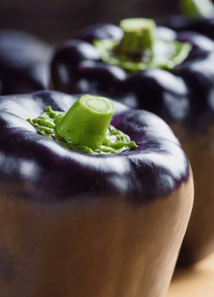 Purple Beauty Sweet Pepper – 30 Seeds